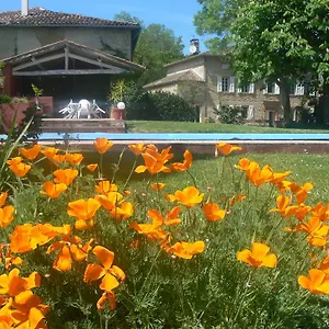 Domaine L'orguennay , Giroussens France